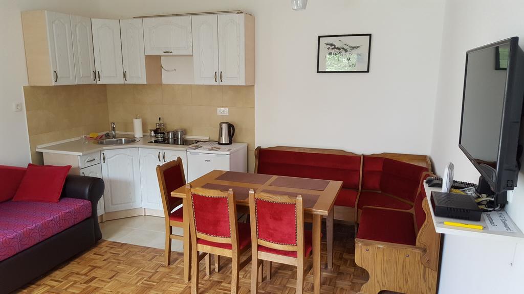 Central Apartment Нікшич Екстер'єр фото